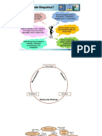Introducao - Metabolismo Energetico