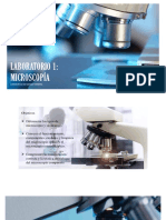 Práctica 1 - Microscopía-Comprimido