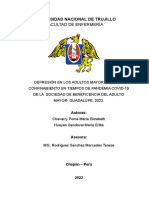 Informe Del Proyecto de Investigación-1