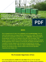 Apiculture Presentation