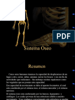 4 - Sistema-Oseo