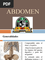 Clase de Anatomia de Abdomen 2023