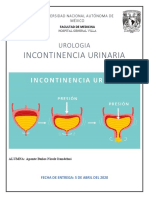 Incontinencia Urinaria