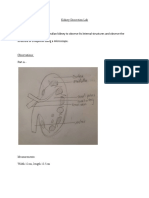 Kidney Lab - Cavelle Sproule