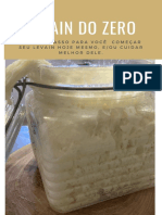 Levain Do Zero