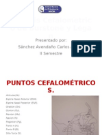 Anlisis Cefalometrico de Burstone y Legan