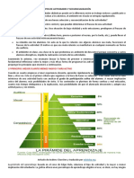 Tipos de Actividades y Secuencialización