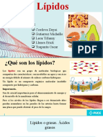 Lipidos 2