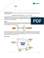 Semienem-Biologia1-Metabolismo Energético-15-06-2020