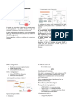 Fármacos Analgésicos y Antiinflamatorios