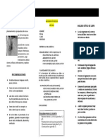 Estructura de Analisis Crítico