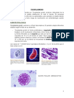 TOXOPLASMA