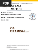 SISTEMA MOTOR - Dr. Zapata