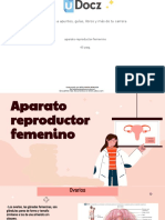 Aparato Reproductor Femenino