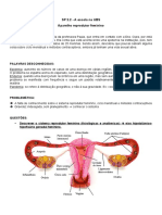 Sistema Reprodutor Feminino