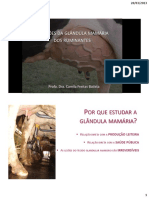 Afecções Da Glândula Mamária Dos Ruminantes I