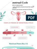 Menstrual Cycle