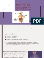 Anatomia-Aparatos Del Cuerpo Humano