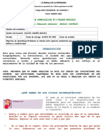 Ciclos Biogeoquimicos 8°