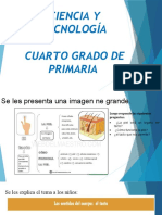 Diapositivas de Ciencia Viernes 31 de Marzo El Sentido Del Tacto