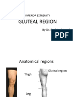 Inborn Errors of Lipid Metabolism