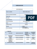 Curriculum Vitae Lic Flores