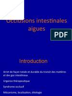 Occlusions Intestineles Aigues