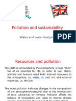 Pollution and Sustainability