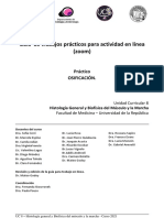 Guía de Trabajo Práctico para Actividad en Línea - Práctico Osificación