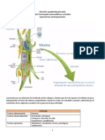 Resumen Celulitis