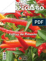 Cultivo de Pimenta