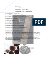 Wassce 2023 Biology Practical