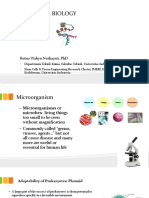 Week 2 - Molecular Biology