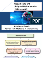 Micro and Macrocephaly