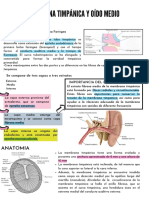 Oído Medio