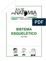 NOVA APOSTILA - Sistema Esqueleto