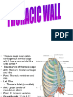 15-Thoracic Wall