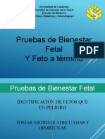 Bienestar Fetal