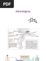 Adrenergic Os