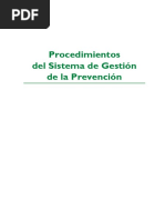 Sistema Gestion Prevencion