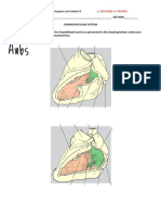 PLM Screening Activity