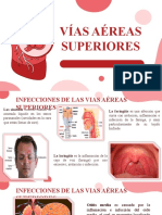 Infecciones de Las Vías Aéreas Superiores