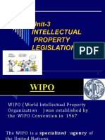 Introduction To IPR PDF