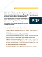 DOCUMENTO Sistema Tegumentario