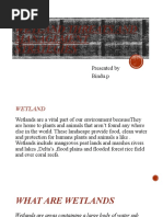 Wetland Threats and Management Stragies