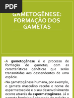 Gametogenese