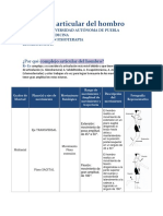 Complejo Articular Del Hombro