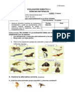 Evaluacion Sumativa 3 Ciencias 2° Básico Junio - 2021