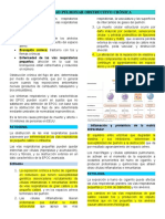 Enfermedad Pulmonar Obstructivo Crónica