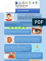 Infografia Fisiologia